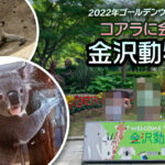 金沢動物園　コアラとカンガルー