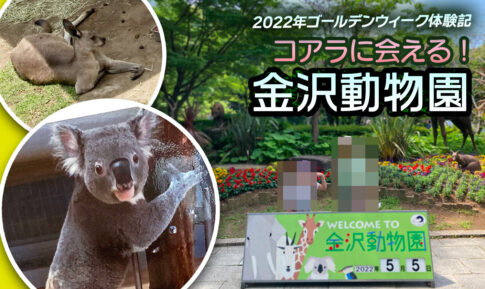 金沢動物園　コアラとカンガルー