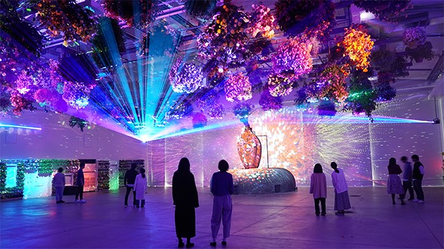 HANA・BIYORI（はなびより）　プロジェクションマッピング　「マルチエンディング」型　花とデジタルのアートショー