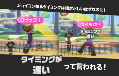 SwitchSportsResortのバレーの判定がおかしい