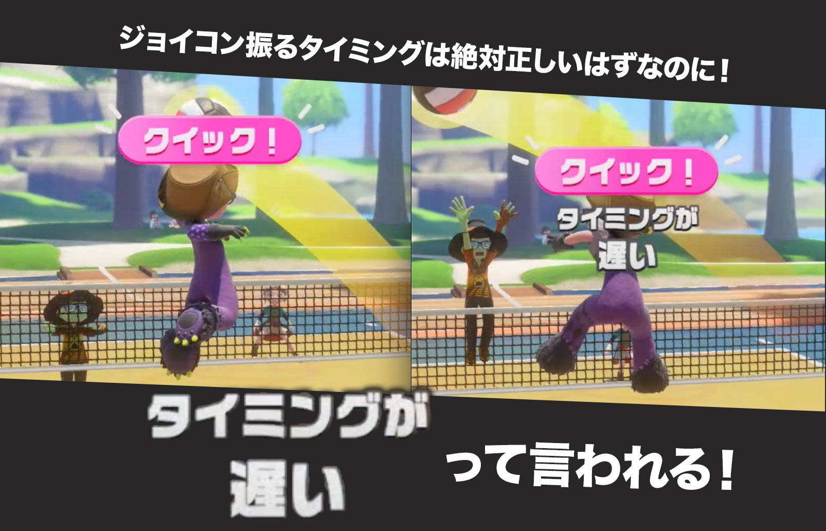 SwitchSportsResortのバレーの判定がおかしい